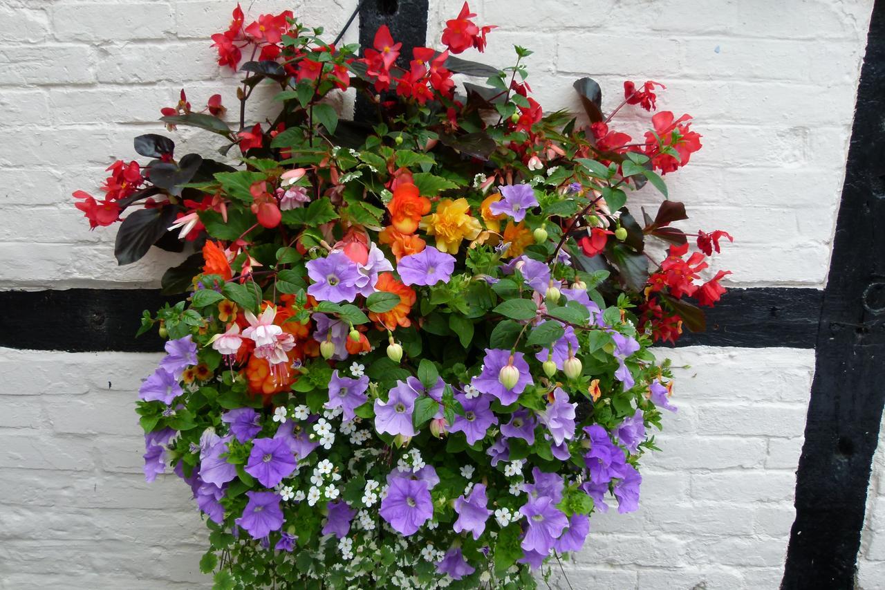 The Talbot Hotel Ledbury Dış mekan fotoğraf